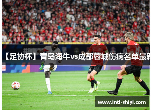 【足协杯】青岛海牛vs成都蓉城伤病名单最新